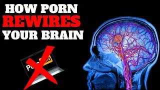 How Porn REWIRES Your Brain & Reward System