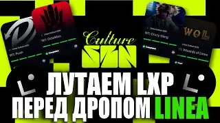 LINEA CULTURE SZN - ФАРМИМ LXP ПЕРЕД ДРОПОМ