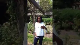 Introducing Debt Revelation do not look Back book by Tope Pearson