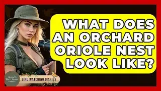 What Does An Orchard Oriole Nest Look Like? - Bird Watching Diaries