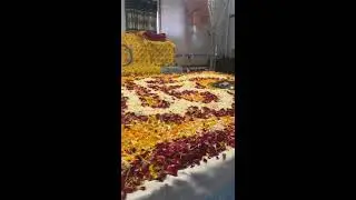 #khalsa #wmk #status #ptcnews