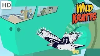 Wild Kratts - Disturbance In The Creature World | Kids Videos