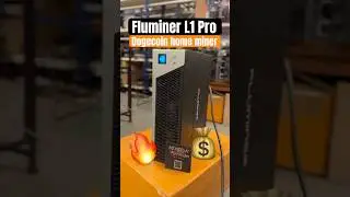 Fluminer L1 PRO : NEW Dogecoin home miner