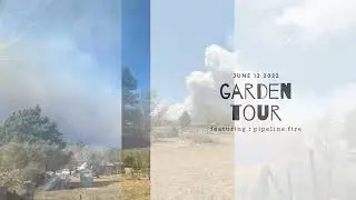 🌱 GARDEN TOUR 🌱 June 12, 2022 [ + 1st day of the Pipeline Fire]