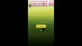 great catch infield