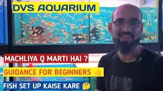 machliya q Marti hai l guidance for beginners l DVS AQUARIUM l एक्वेरियम फिश के बारे में जानकारी