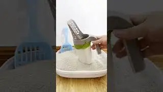 The Importance of Hygienic Cat Litter: Paws Loves Wellness! #HygienicLitter #CatWellness #PawsLoves