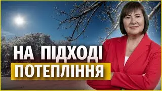 Морозний антициклон завершується! | Прогноз погоди на 23 січня