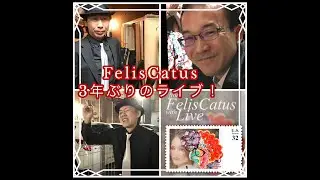 Felis Catus 3年ぶりLIVE