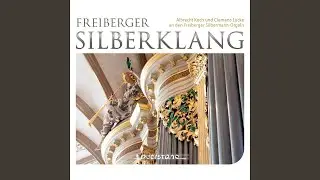 Partita Oh Gott, du frommer Gott: No. 5, Varatio 5