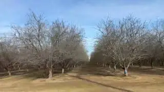 aqu&iacute; dando la vuelta en los almendros saluditos para todos 