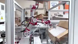 Case Packing with Two JAKA Cobots Cooperating with Each Other