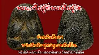 พระลึกลับพุทธคุณหลักล้าน ชุดที่71(amulet)