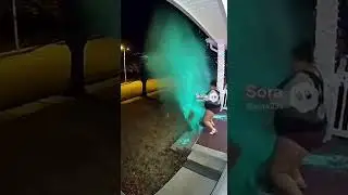 A deer brought a box of paint  🦌🎨 #shorts #video #funny #prank #deer