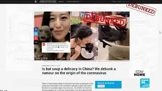 #CoronaVirusFacts: the global effort to fight fake news about COVID-19