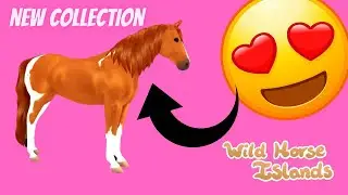 Starting my DUTCH WARMBLOOD COLLECTION! Wild Horse Islands Roblox