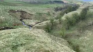 Preparing for Deerplay Hill Trial with Moor Lodge Ben