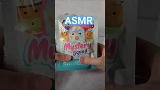 ASMR | *NEW* Squishmallows Mystery Squad Blind Bag