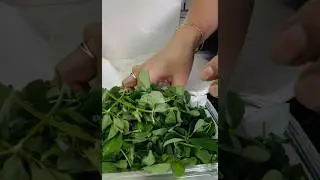 How to store methi leaves #hack #youtubeshorts