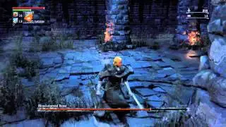 (Nebula_Nine) Bloodborne&trade; Blood-starved Beast