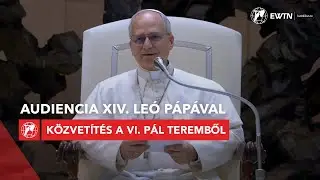 Audiencia - közvetítés a VI. Pál teremből 2026.01.28.