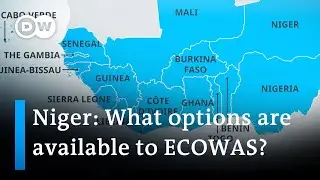 Junta in Niger declares new government as ECOWAS mulls strategy | DW News