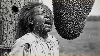 The Slave Who Was Tied to a Beehive to Die &ndash; What She Became 7 Days Later Shocked Texas (1838)