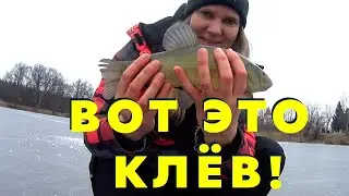 ОТВЕЛА ДУШУ НА ЗИМНЕЙ РЫБАЛКЕ! КРУТЫЕ ПОКЛЕВКИ! ЛОВЛЯ ПЛОТВЫ И ЛИНЯ СО ЛЬДА! МОЙ ПЕРВЫЙ ОКУНЬ!