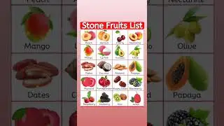 Stone Fruits Name in English With Picture 🍑 | Kids Vocabulary | #shorts
