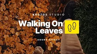 Walking On Leaves Sound Effect | 100% Royalty Free | No Copyright