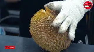D13 Durian & Mao Shan Wang Durian -  Ah Seng Durian
