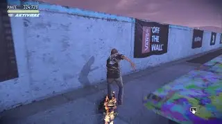 Tony Hawk's Pro Skater 5  PS4 Gameplay Feuerstrand mit Riley Hawk (Deutsch) #02