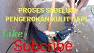 PROSES MENGADUK KULIT SAPI UNTUK DIKEROK BULUNYA...#part2