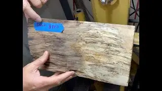 Dumpster Dive Gets Me A Beechy Treasure | Spalted Beech Woodturning