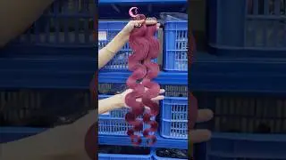 Burgundy body wave hair #bodywavehair #hairbundles #burgundyhaircolor #cljhair #colorhair #humanhair