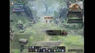 Soloing Tyrant's Isle