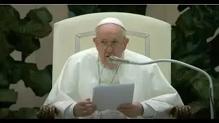 Pope Francis urges parents to 'never condemn' gay children