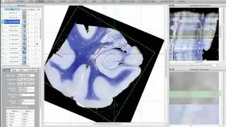 HistoloZee Tutorial 11 - Loading a full reconstruction project from a sample of the MTL