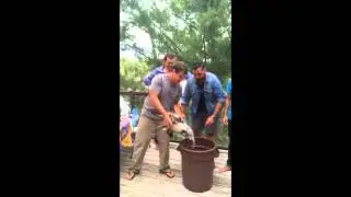 BuzzBuzzHome, Ice Bucket Challenge
