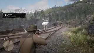 Legendary Elk Has A Legendary Heart Attack - Red Dead Redemption 2