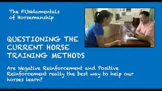 Questioning Our Horse Training Methods - Are Positive & Negative Reinforcement the Best We Can Do?