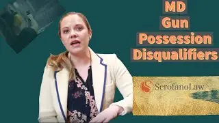 MD Gun Possession Disqualifiers | MD Criminal Lawyer | Scrofano Law PC