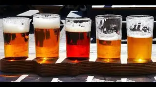 Brewing With Juniper, Spruce, Fir and Pine Part 1