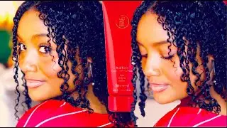 TRYING A NEW PROTEIN TREATMENT ON MY HIGH POROSITY HAIR! l TPH Real Love Protein Treatment Demo