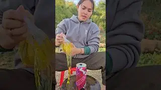 Survival Skills SMART ideas and USEFUL save water in forest #camping #outdoors #survival #bushcraft
