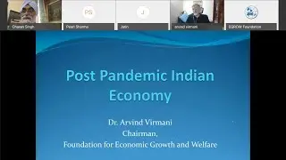 Economics of Pandemics and Lockdown  - EGROW Webinar Series