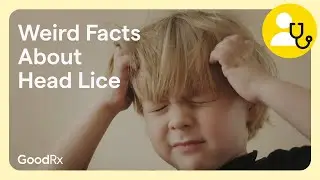Head Lice: Surprising Facts About Head Lice and How to Treat It | GoodRx