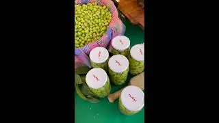 Olives Around the Table - David McKenzie/Sari Ulak  | Turkey
