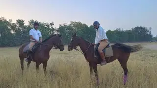 Horse Unit  is live