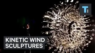 Kinetic wind sculptures